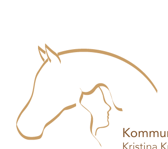 Ausschnitt vom Logo Kommunikation und Detail